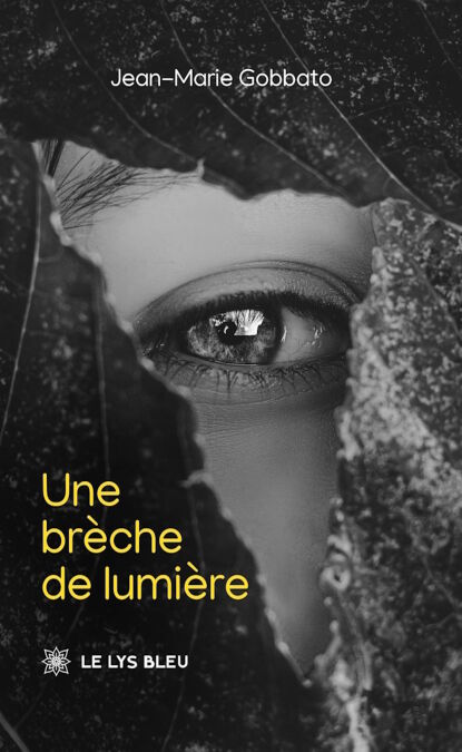 media/ebook/13079461_c0tzw9y5_0