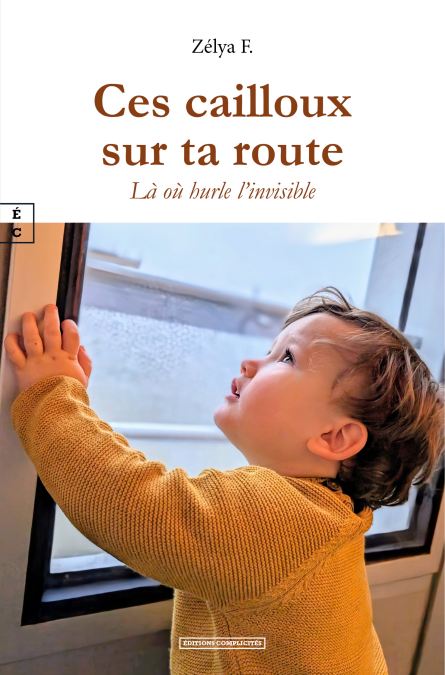media/ebook/13080150_1qyylg7f_0