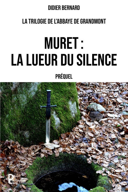 media/ebook/13080595_qh4tmh9c_0