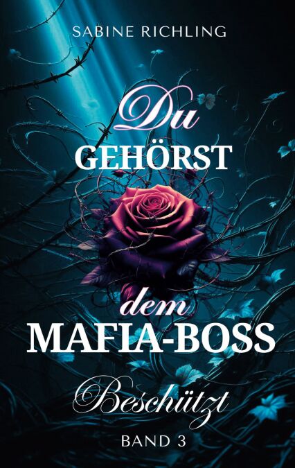 media/ebook/13083996_ibk2khdv_0