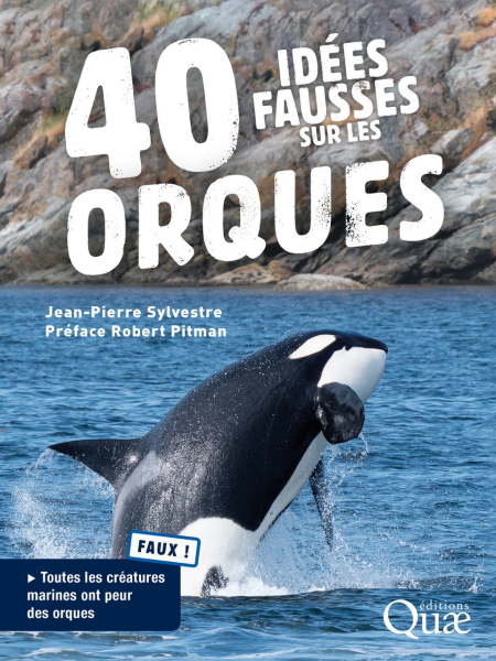 media/ebook/13090090_m7mgp3co_0