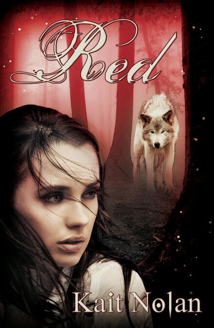 media/ebook/13093240_ovnv9rjk_0