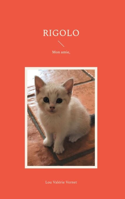 media/ebook/13093773_1azswp47_0