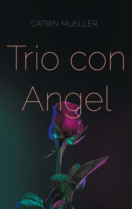 media/ebook/13097896_b72b6id9_0