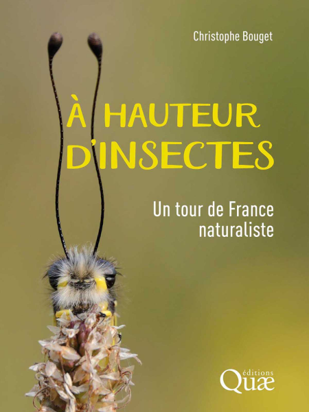media/ebook/13098008_ppzcst0o_0