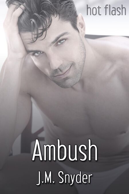 media/ebook/13105856_167k30n1_0