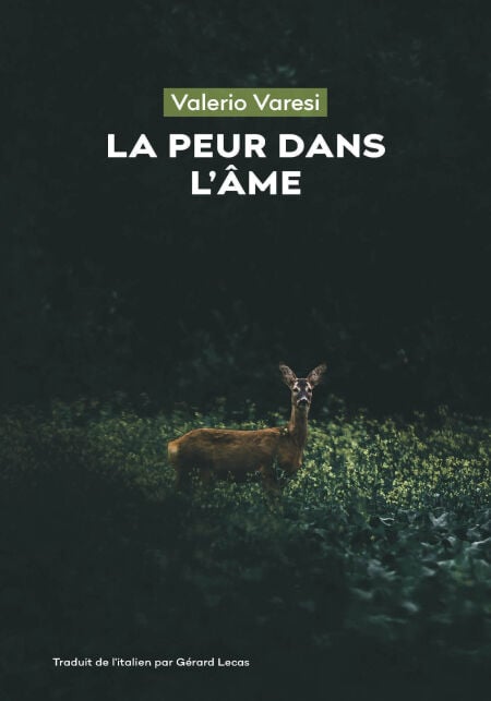 media/ebook/13109055_1rfve55l_0