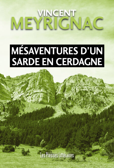 media/ebook/13111395_147wzm0i_0