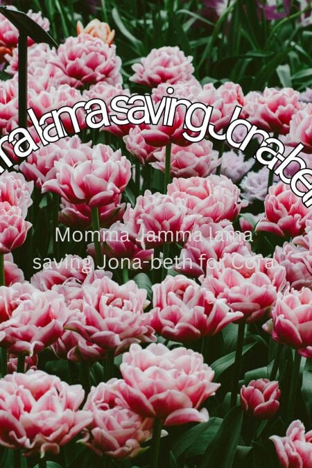 media/ebook/13114698_uz3anz8x_0