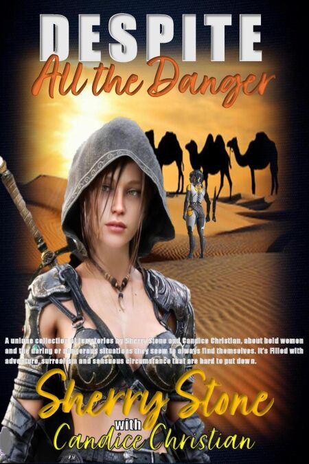 media/ebook/13118545_70po2igh_0