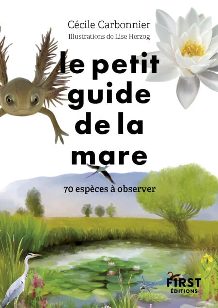 media/ebook/13119339_b8ksi4do_0
