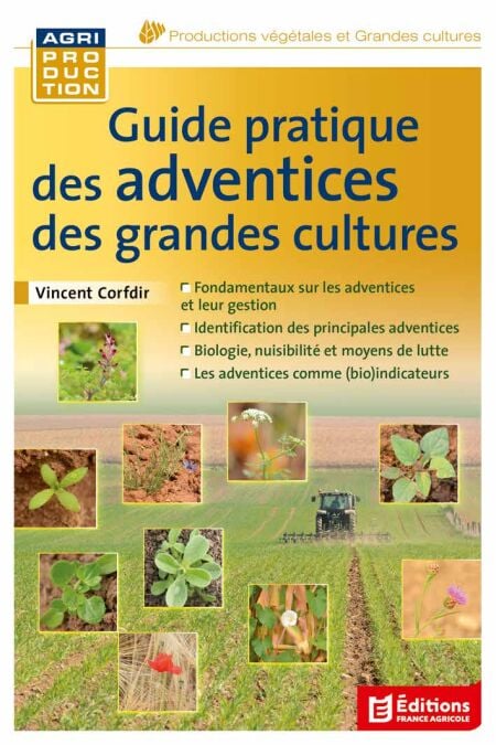 media/ebook/13121855_8e8twonn_0