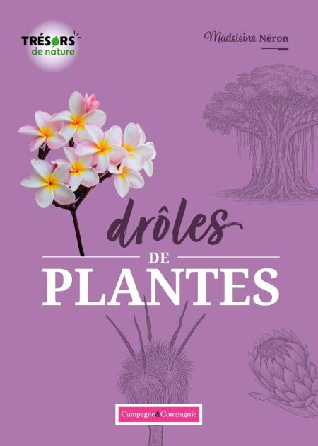 media/ebook/13121867_1nbwoedy_0