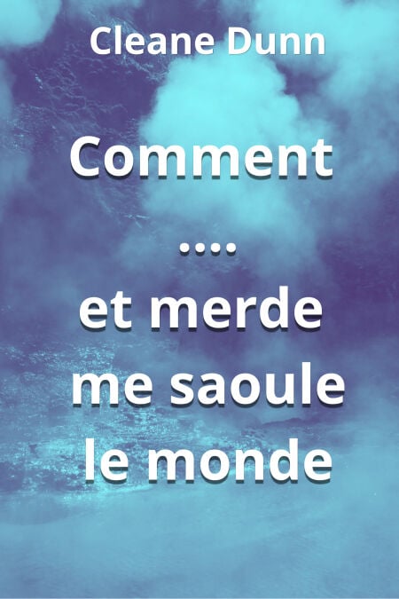 media/ebook/13127251_u5lc3qa1_0
