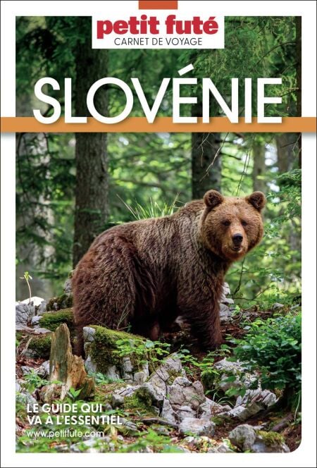 media/ebook/13130786_17ocxy5n_0