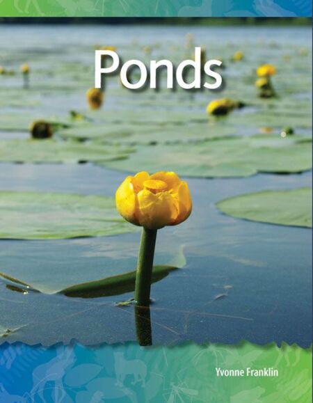 media/ebook/13144269_1rcquw7t_0