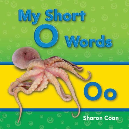 media/ebook/13144465_n0r8crr4_0