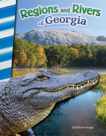 media/ebook/13144728_1plw40lt_0