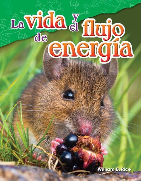 media/ebook/13145173_1irvu68g_0