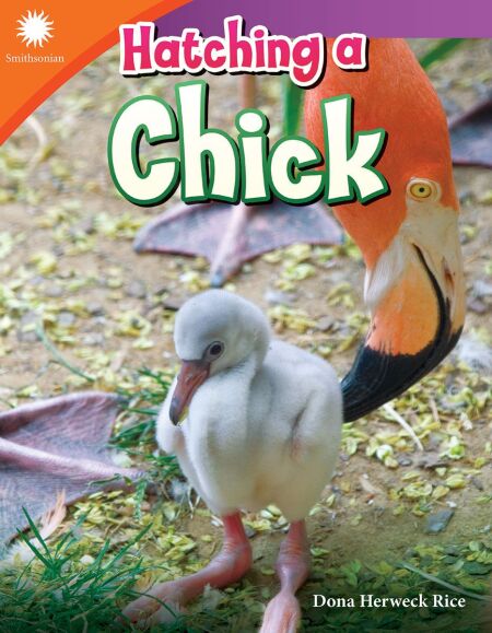 media/ebook/13145610_bcjc5swy_0