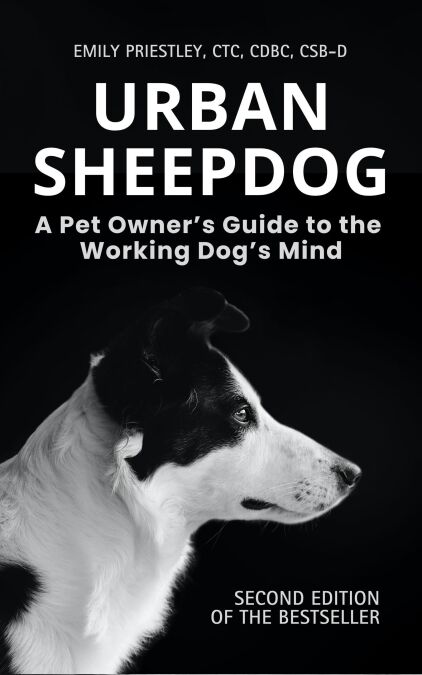 media/ebook/13148684_1wq3nfrg_0
