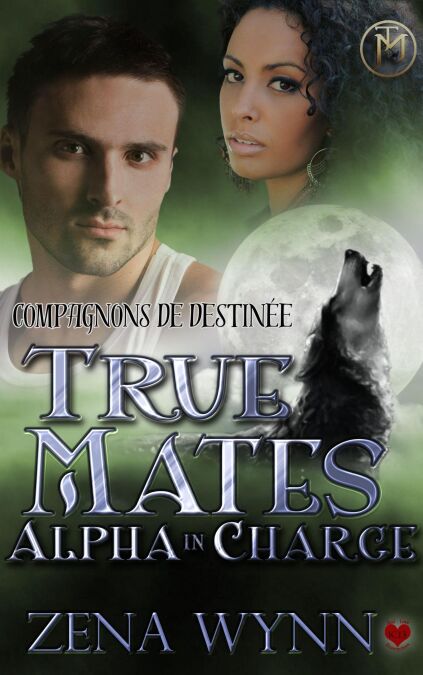 media/ebook/13159237_1l99k3xo_0