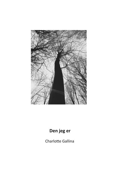 media/ebook/13162180_1o0fcrfm_0