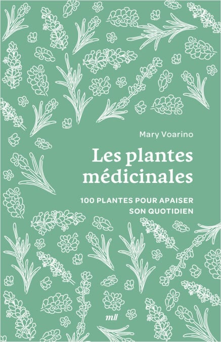 media/ebook/13165004_1lgjjh3t_0