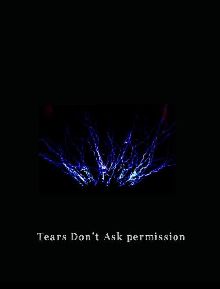 media/ebook/13165765_578kgv9v_0