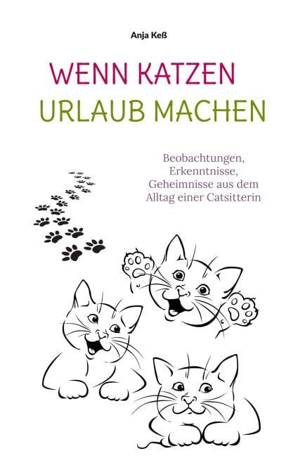 media/ebook/13166716_j3bzz11a_0