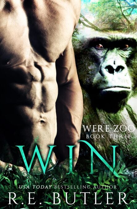 media/ebook/13174088_1oslwf4u_0
