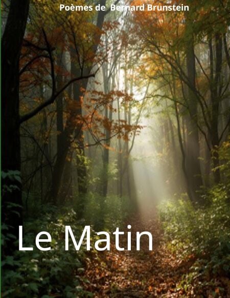 media/ebook/13175355_irfqepbn_0