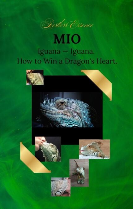 media/ebook/13177675_1v6o7dpe_0
