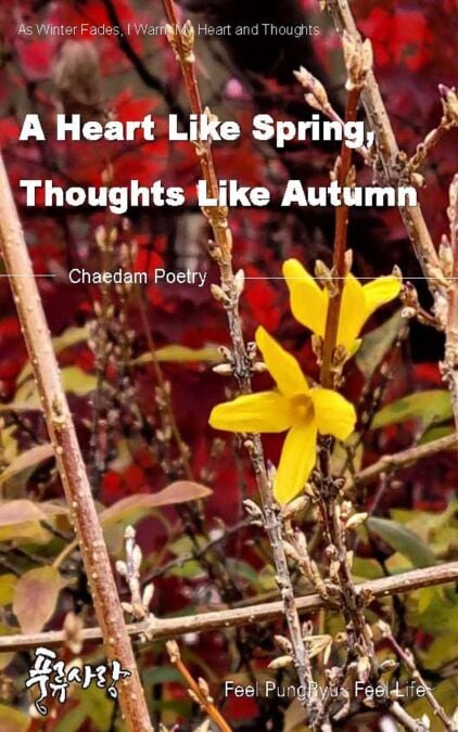media/ebook/13182019_1wkcb88w_0
