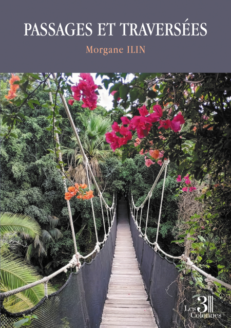 media/ebook/13182776_19ha77w0_0
