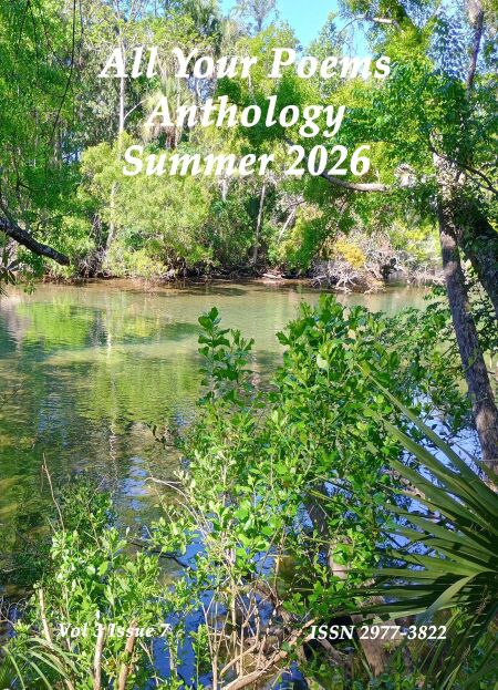 media/ebook/13184834_xvy500ag_0