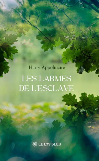 media/ebook/13197158_1imhu5h1_0