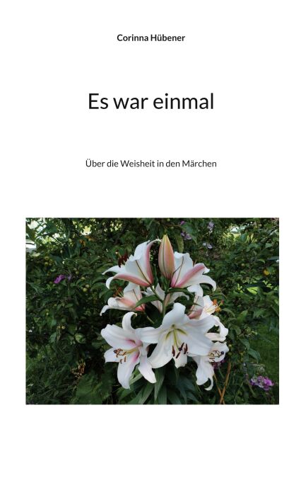 media/ebook/13197424_ecmfm3kz_0