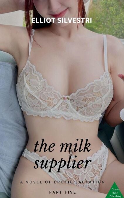 media/ebook/13197993_t6tlrdm0_0