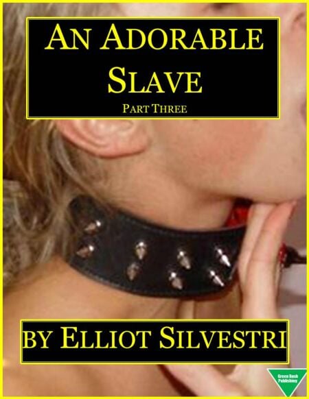 media/ebook/13198416_1lpdbacs_0