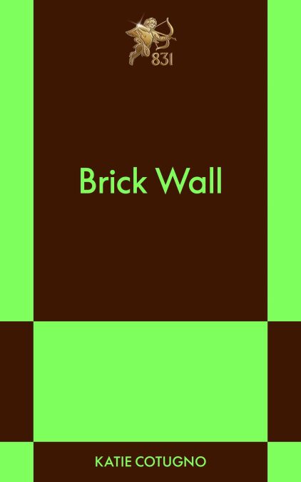 media/ebook/13207666_9u6mylik_0