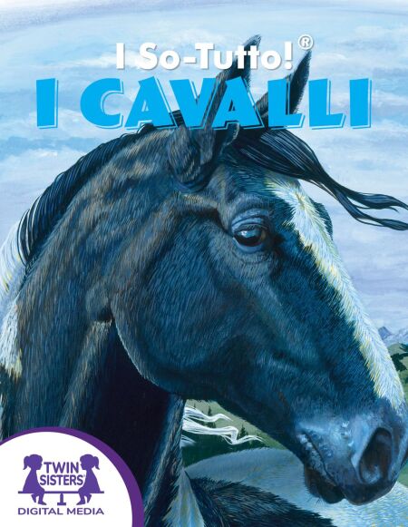 media/ebook/13217817_1bgguwi0_0
