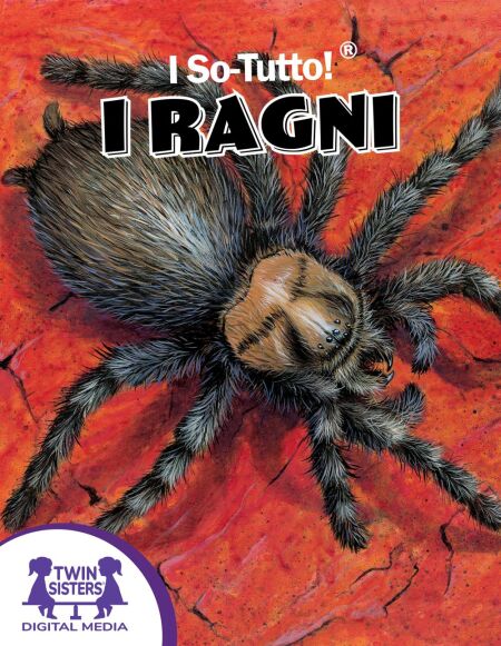 media/ebook/13218143_10phlm17_0