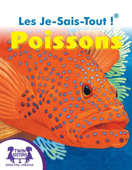 media/ebook/13218266_ofstakjd_0