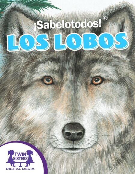 media/ebook/13218352_1g0yqj40_0