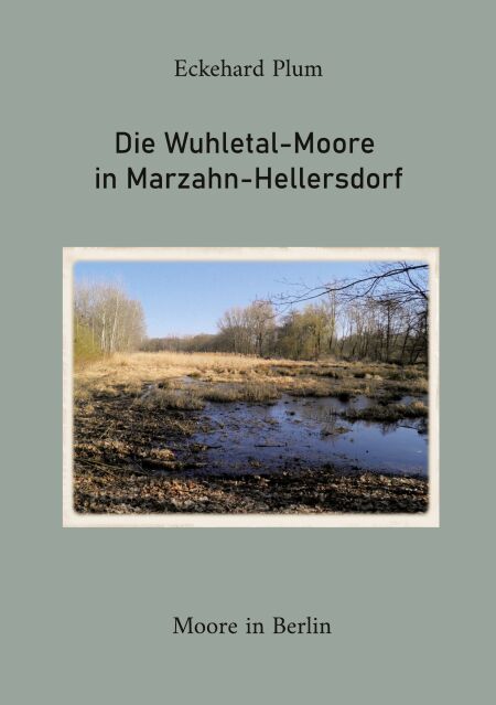 media/ebook/13220955_ped0bmrm_0
