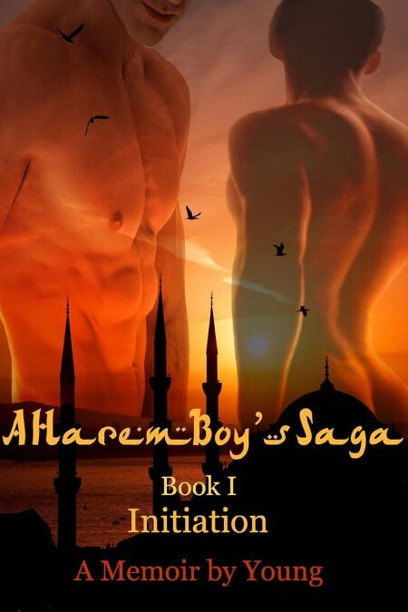 media/ebook/13222969_4n0iqwat_0