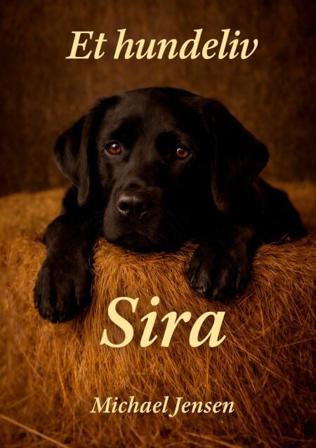 media/ebook/13228050_18rs1aru_0