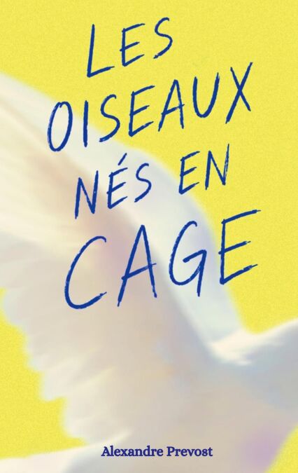 media/ebook/13229001_1vloxyrr_0