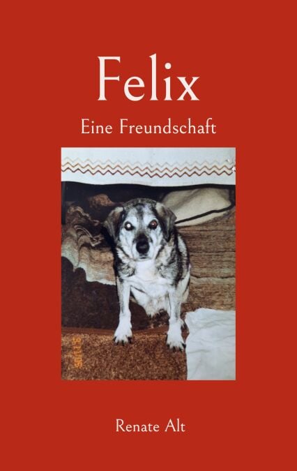 media/ebook/13230491_1qda8wh2_0